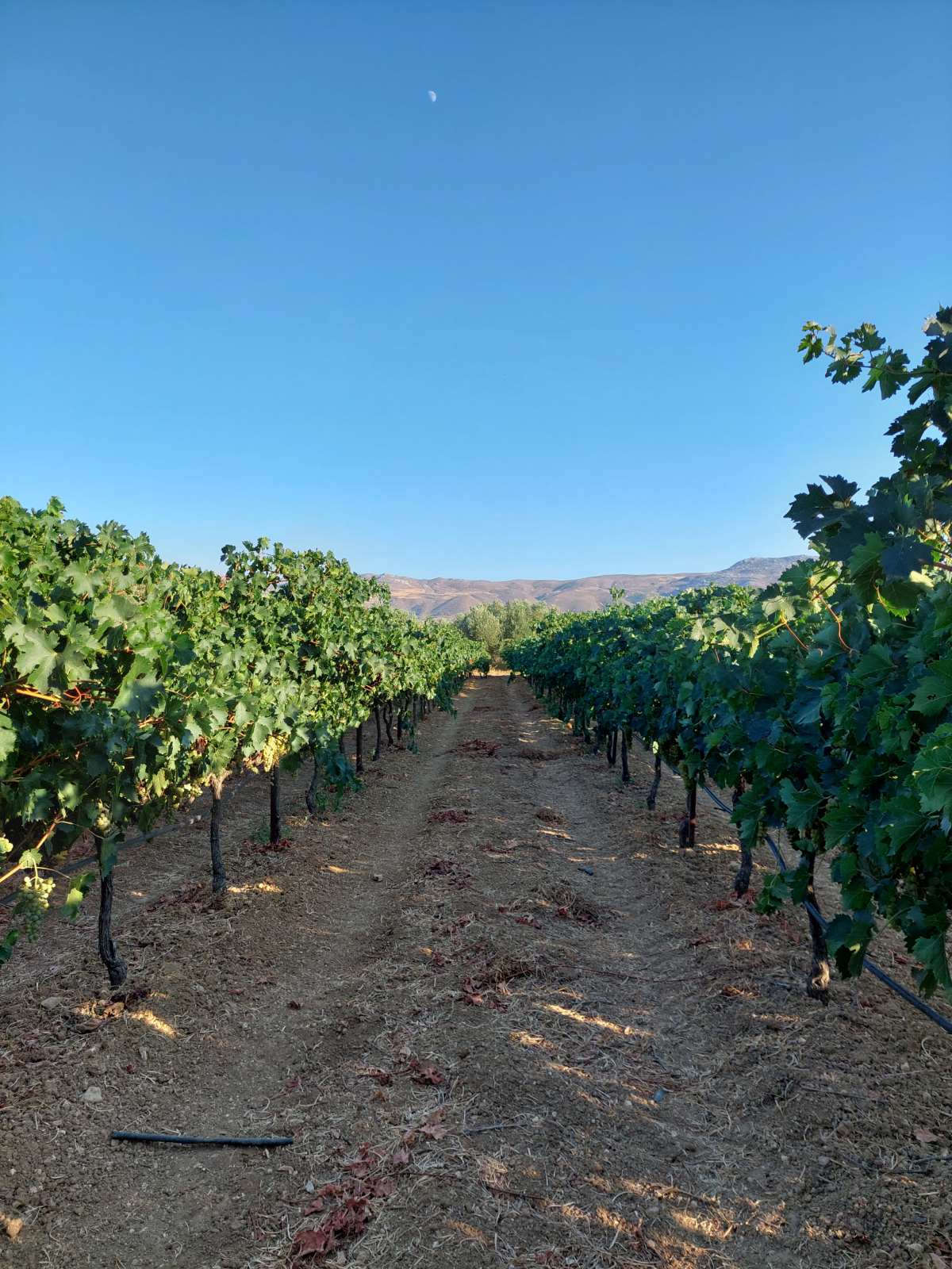 Yosemite National Park