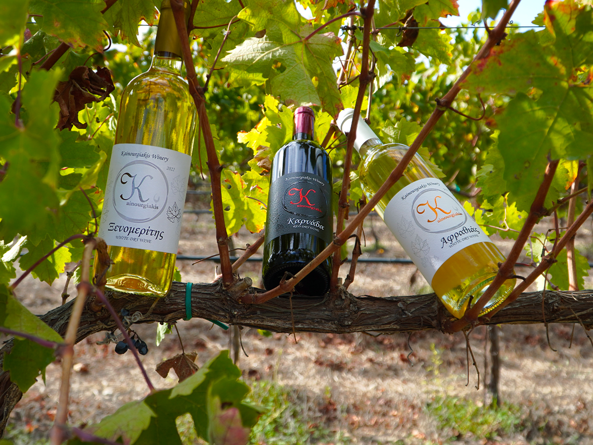 Mountains in the Clouds