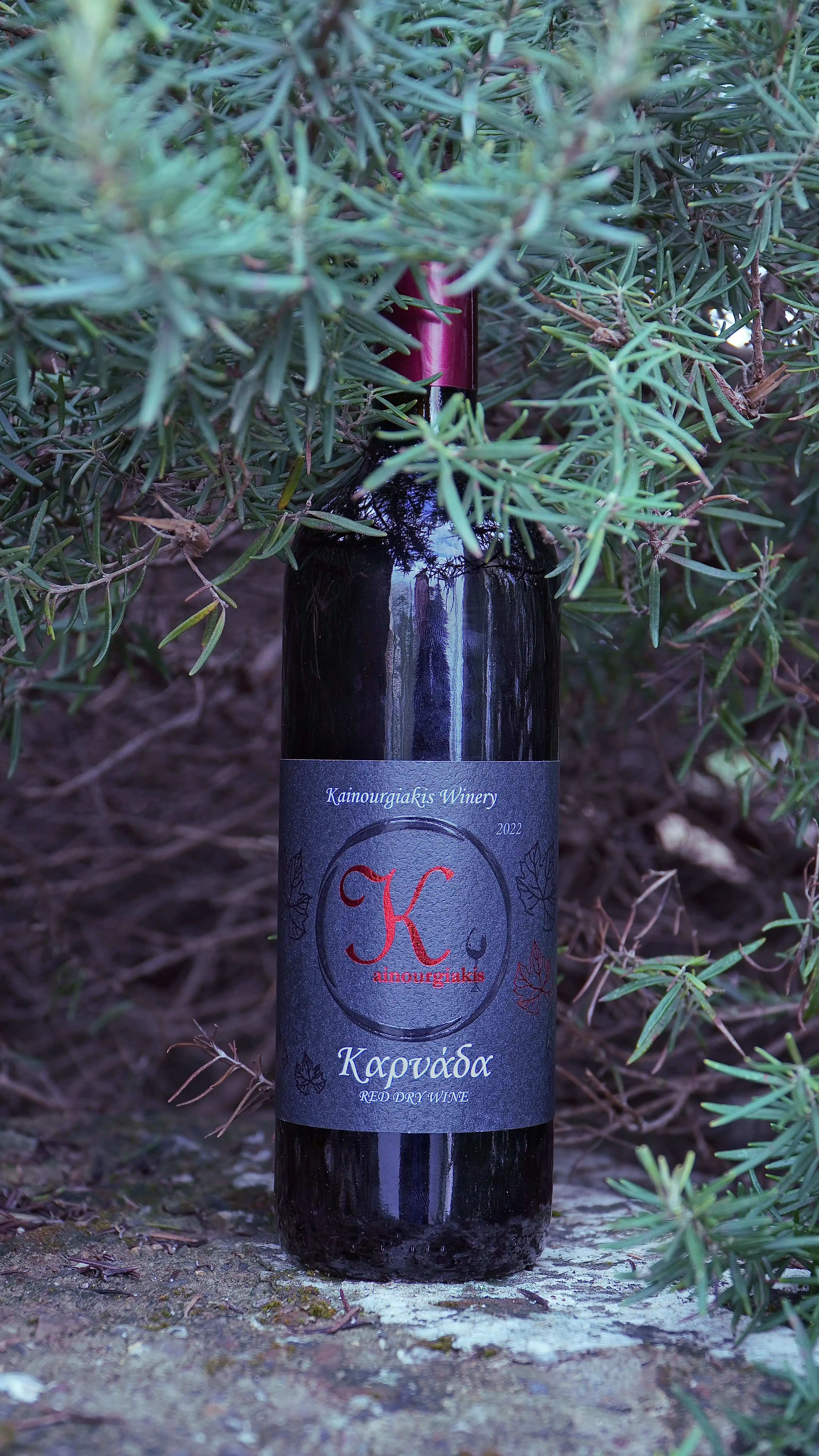 Wintry Mountain Landscape